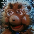 Avatar du membre
